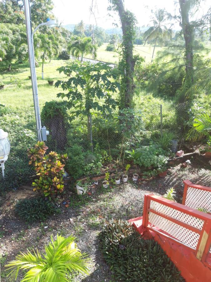 Tranquil Guest House Buccoo Exterior foto