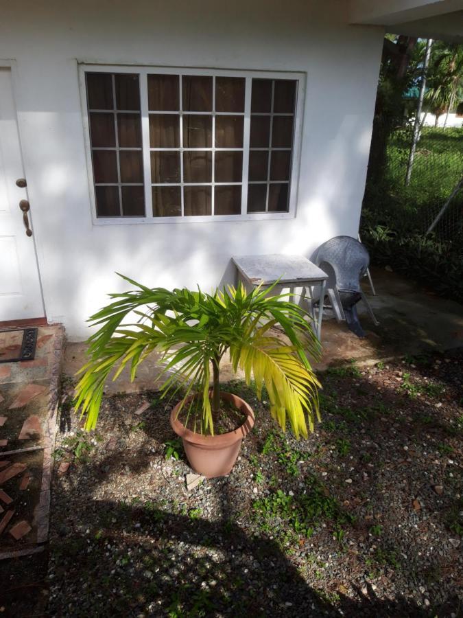 Tranquil Guest House Buccoo Exterior foto