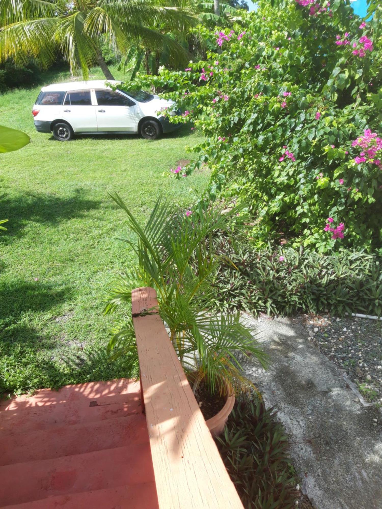 Tranquil Guest House Buccoo Exterior foto